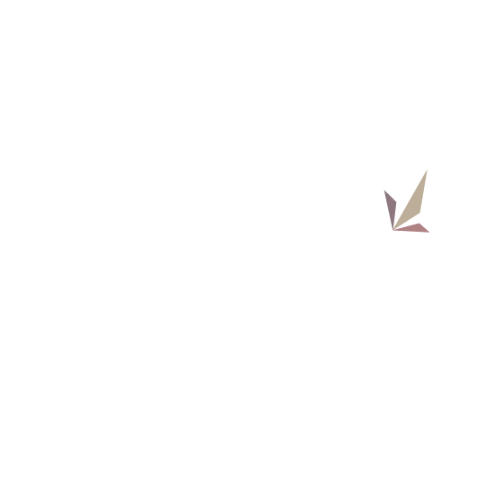 anjali